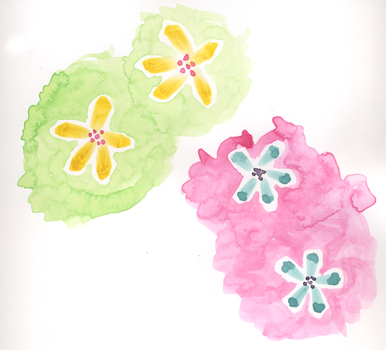 flowers on pink and green