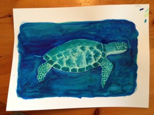 seaturtle2