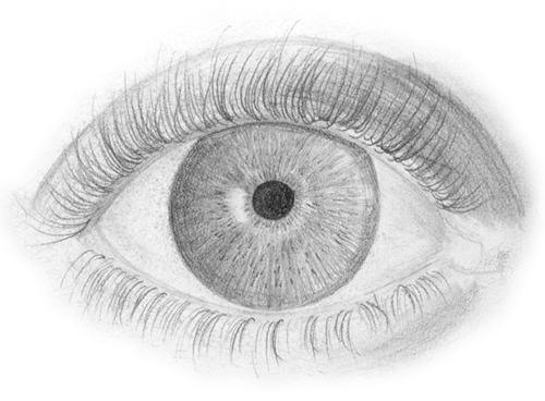 eye