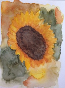 sunflower2