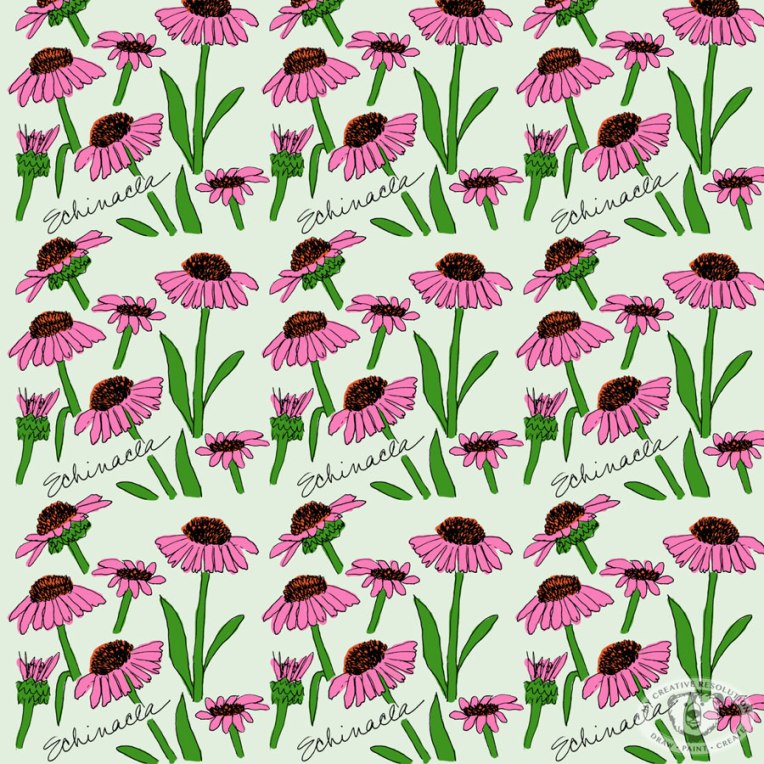 echinaceapattern