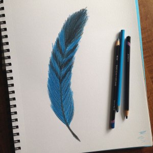 pencilfeather