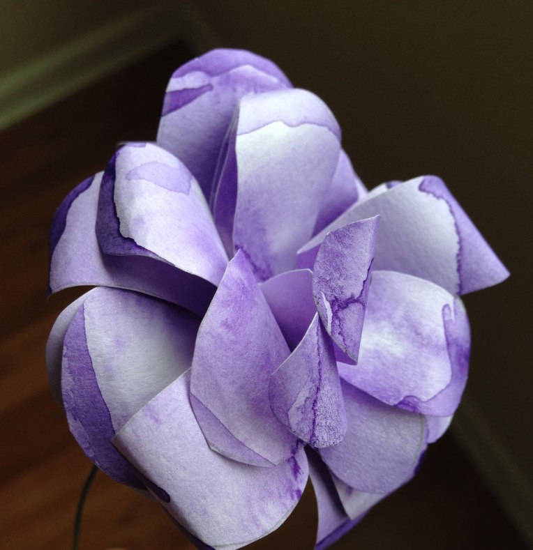 purplerose