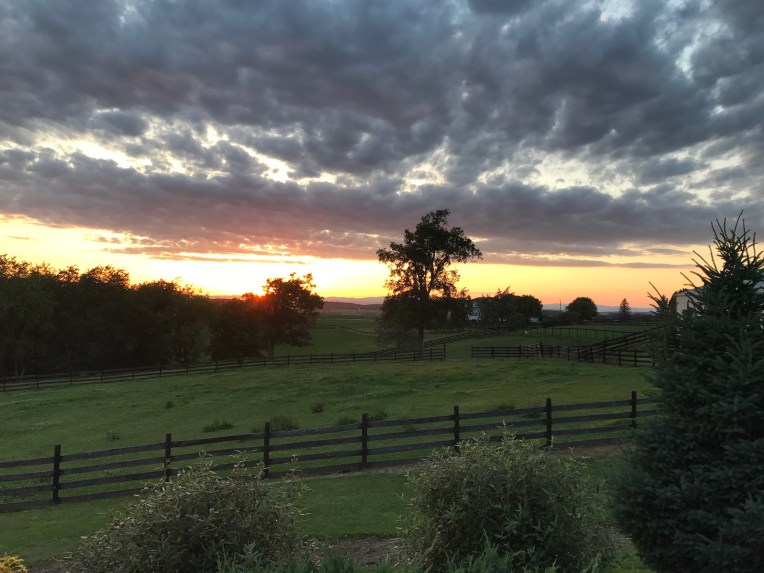 Sunset over the fields