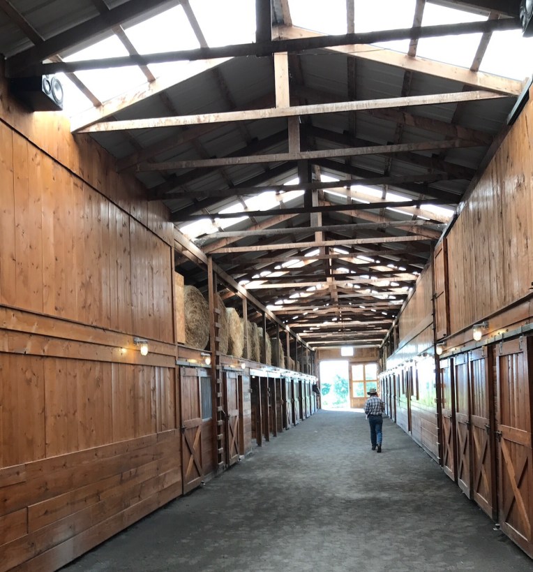 Horse stables