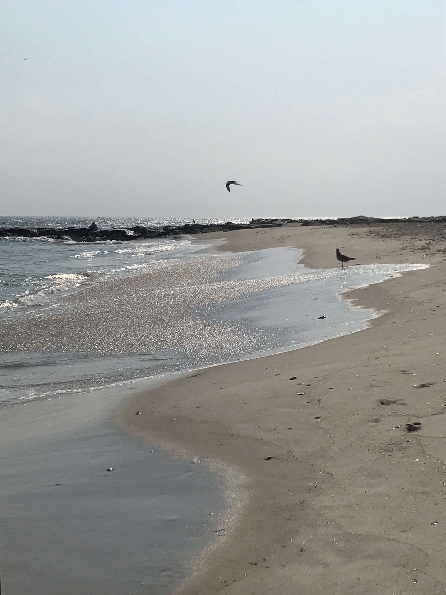 Beach Day by Eileen McKenna http://www.mycreativeresolution.com 