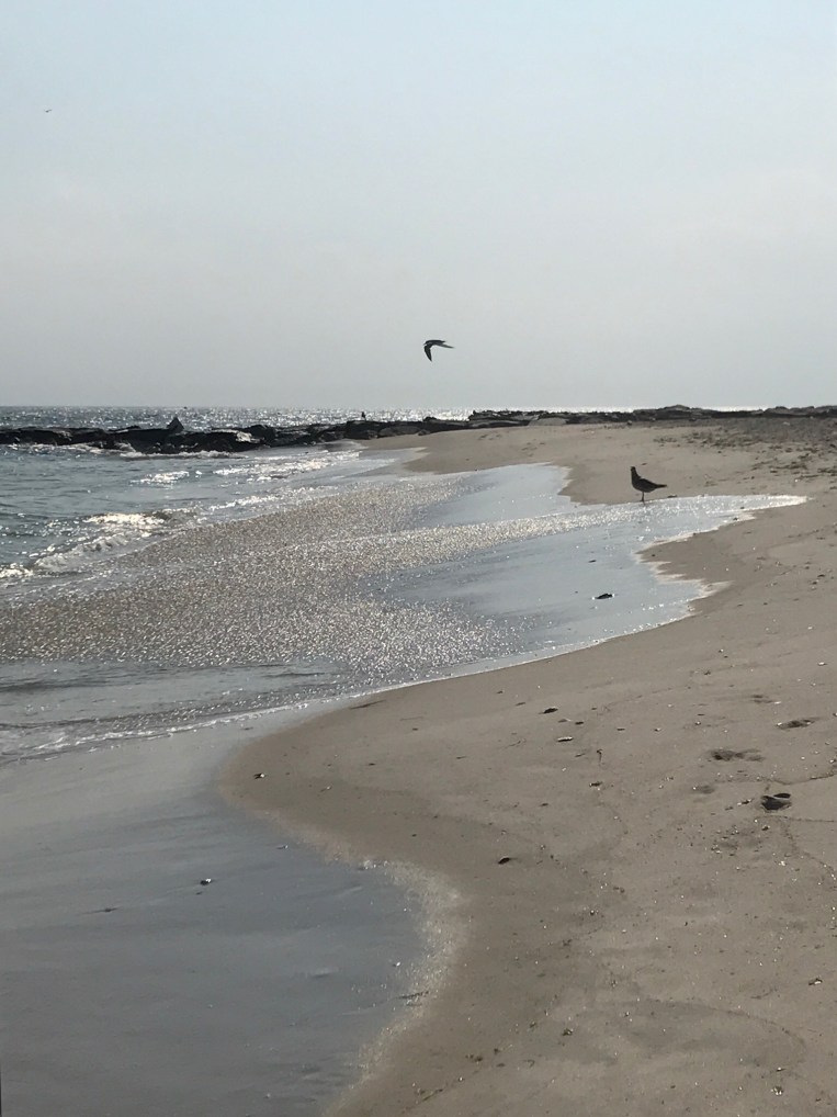 Beach Day by Eileen McKenna http://www.mycreativeresolution.com