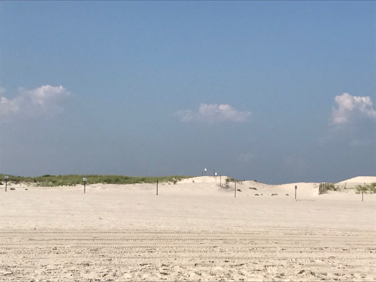 Beach Day by Eileen McKenna http://www.mycreativeresolution.com