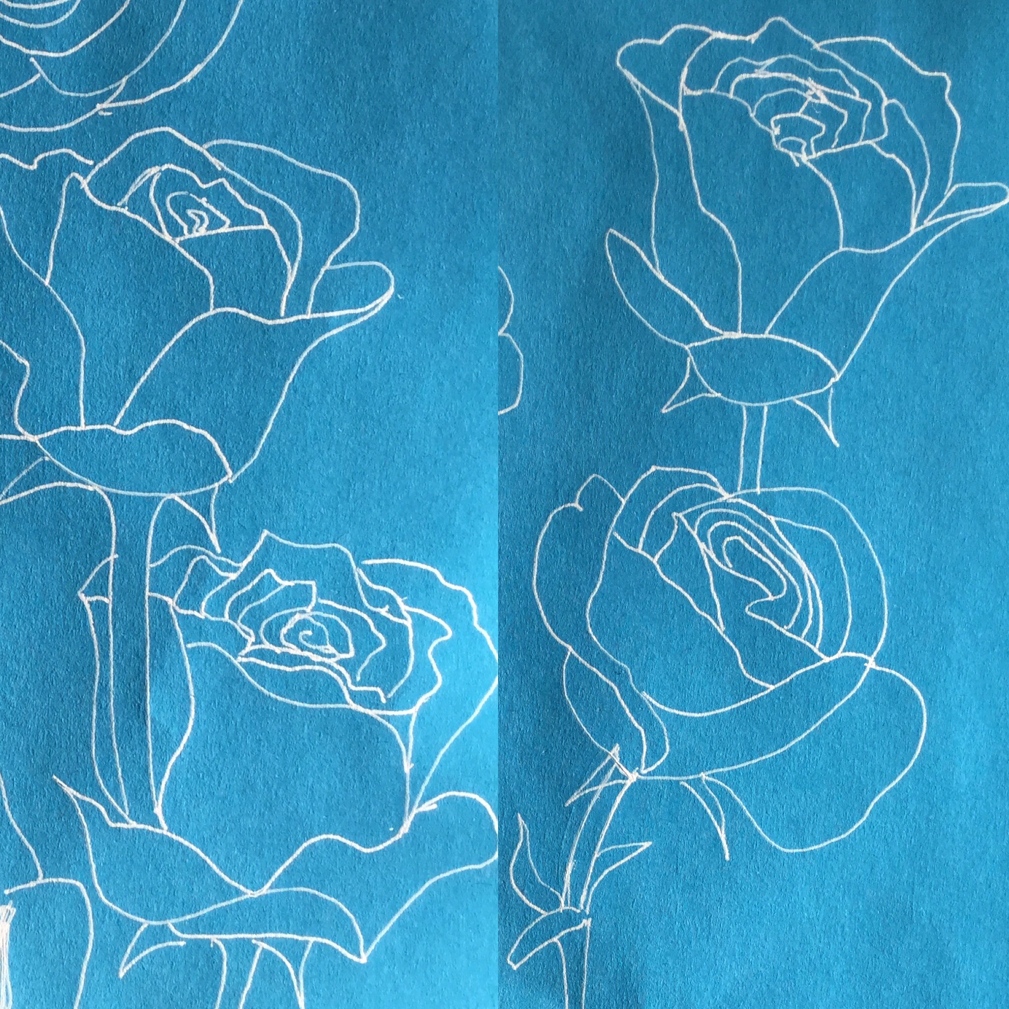 Roses with white gel pen #inktober
