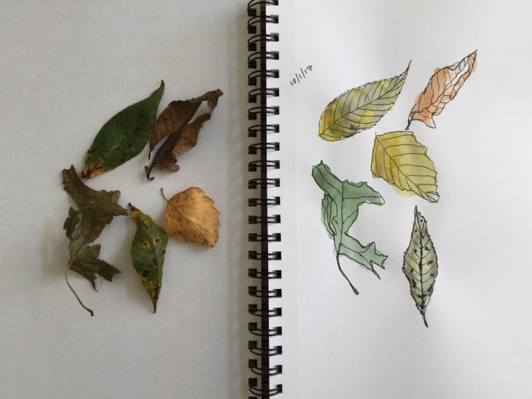 InkTober day 1 leaves