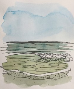 Seascape watercolor and ink illustration by Eileen McKenna #inktober