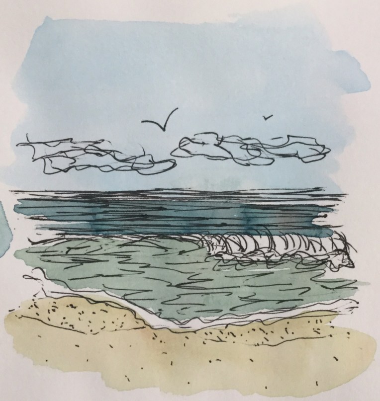 Seascape watercolor and ink illustration by Eileen McKenna #inktober