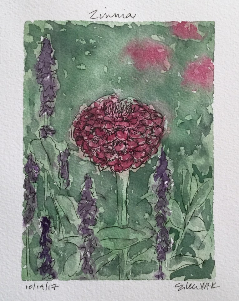 Zinnia by Eileen McKenna 