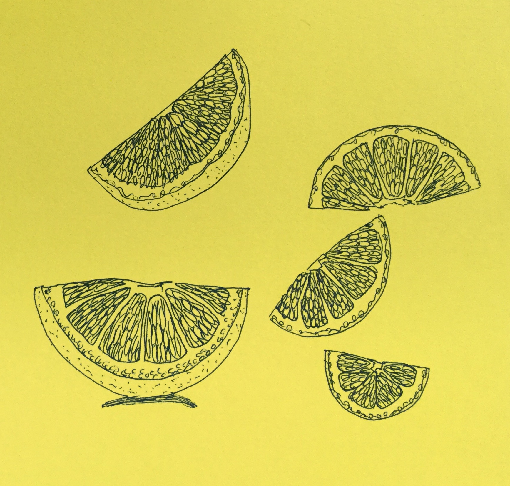 Lemon slices by Eileen McKenna #inktober #lemons #yellow