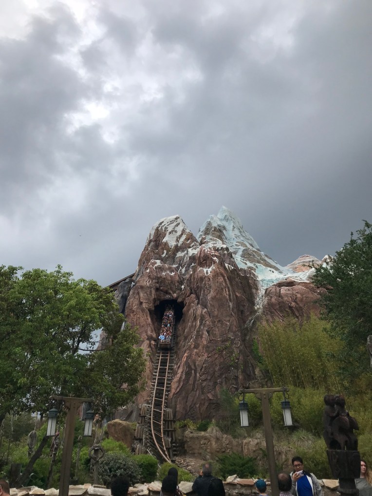 Everest Expedition roller coaster at Animal Kingdom