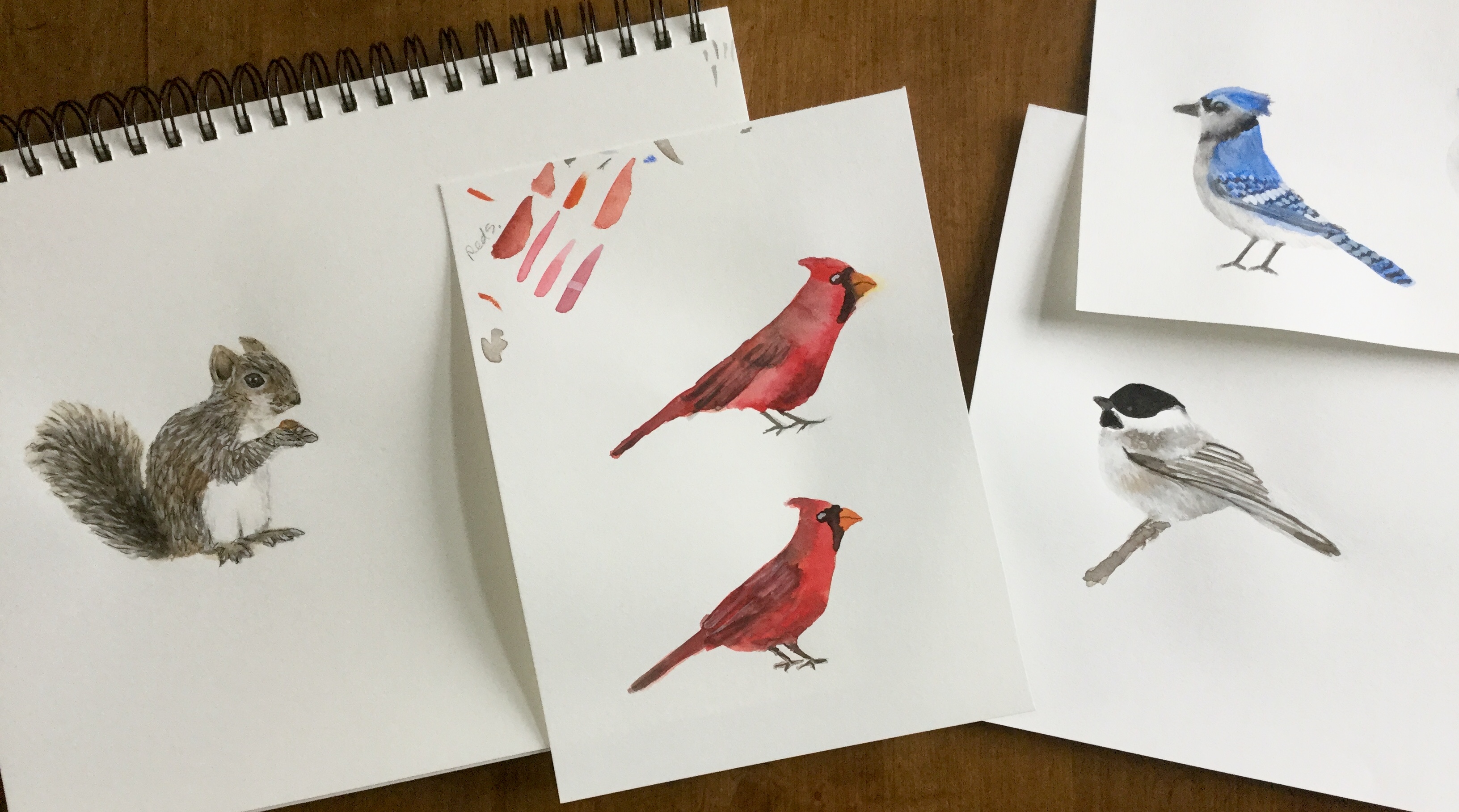 Inspiration at the bird feeder by Eileen McKenna